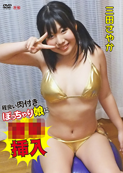 程良い肉付きぽっちゃり娘に強制挿入 三田さやか503395