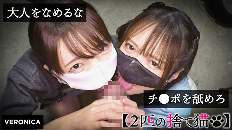 N.K.＆I.M.501492